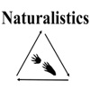 Naturalistics artwork