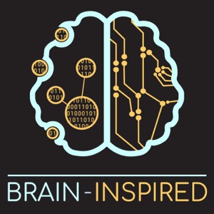 BI 061 Jörn Diedrichsen and Niko Kriegeskorte: Brain Representations
