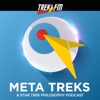 Meta Treks: A Star Trek Philosophy Podcast artwork