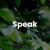 Speak With Tyler Bryden artwork