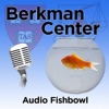 Berkman Klein Center for Internet and Society: Audio Fishbowl artwork