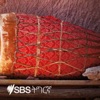 SBS Tigrinya - ኤስ.ቢ.ኤስ ትግርኛ artwork