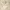 Bruegel - De podcast