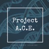 Project A.C.E. artwork