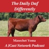 Daily Daf Differently: Masechet Yoma artwork