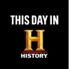 This Day in History artwork