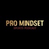 Pro Mindset Podcast artwork