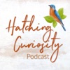 Hatching Curiosity: A Homeschool Podcast artwork