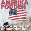 Amerikapodden artwork