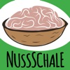 Nussschale artwork