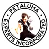 Petaluma Experts Incorporated artwork