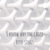 I know why the caged bird sings artwork