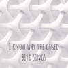 I know why the caged bird sings artwork