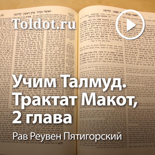 Цитаты из талмуда. Трактат Макот. Талмуд Макот.