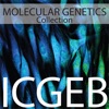 Molecular Genetics artwork