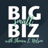 Big Small Biz artwork