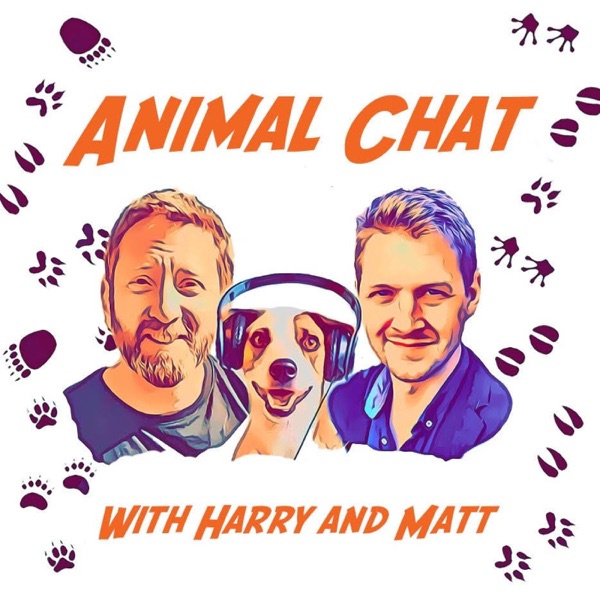 The Animal Chat Podcast