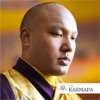 Selected Talks on Buddhism and Meditation by the Karmapa artwork