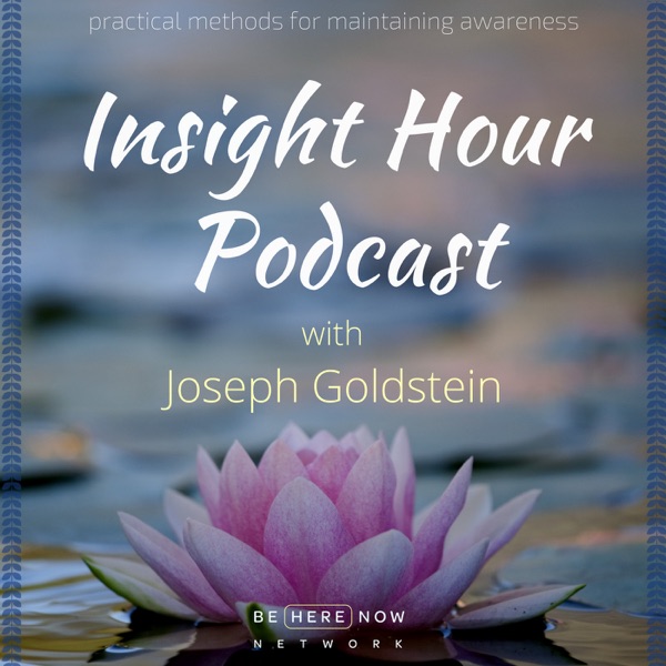 Insight Hour with Joseph Goldstein Artwork