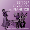 Sonidos Olvidados del Flamenco - José Miguel Hernández Jaramillo