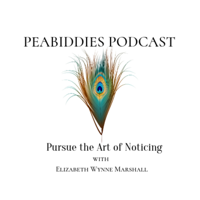 Peabiddies: Pursue the Art of Noticing podcast