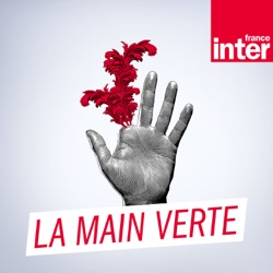 La main verte