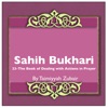 Sahih Bukhari The Book Of Dealing With Actions In Prayer artwork