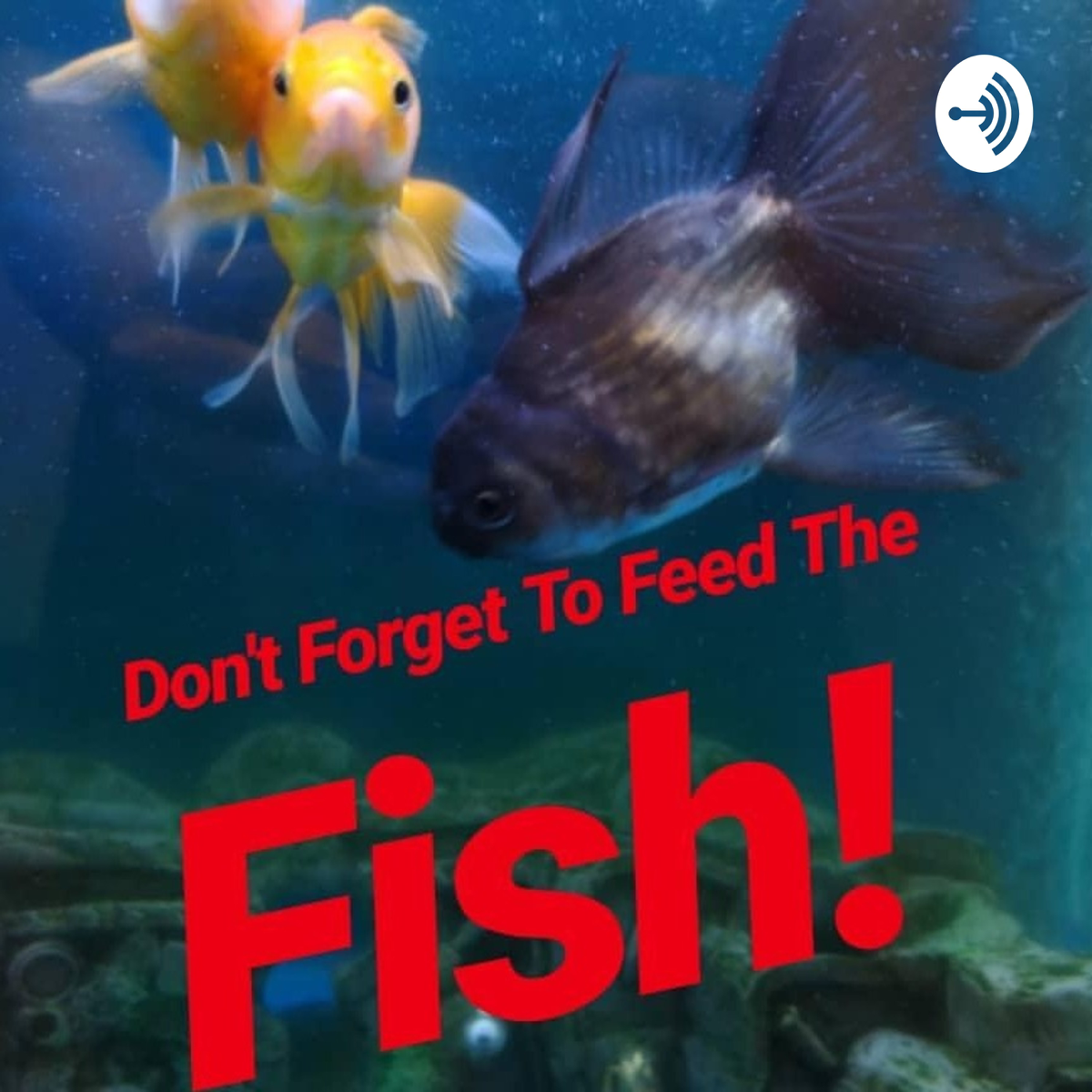 don-t-forget-to-feed-the-fish-podcast-podyssey