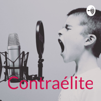 YOU KNOW YOU WANT IT: responding to PORN CRITICS with Dr. Lynn Comella