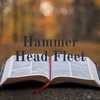 Hammer Head Fleet artwork