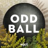 Odd Ball Podcast artwork