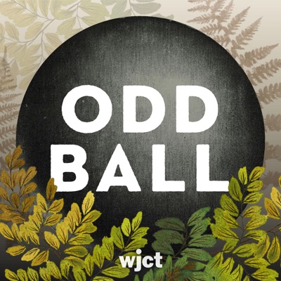Odd Ball Odd Ball