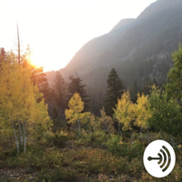Test Podcast Tdeedles podcast