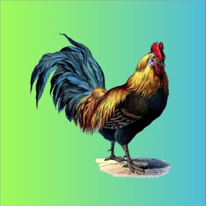 À Podcasts - pour apprendre le français