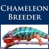 Chameleon Academy Podcast artwork