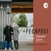PecaPeci: Podcast Suami Istri