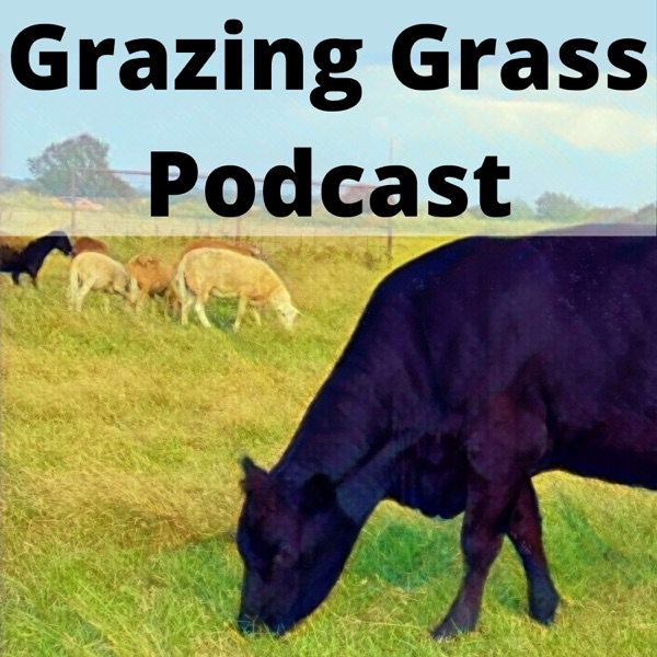 Grazing Grass Podcast Artwork