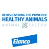 Rediscovering the Power of Healthy Animals - Animal X-Factor artwork