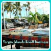 Virgin Islands Small Biz Showcase artwork