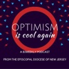 Optimism is Cool Again artwork