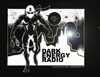 Dark Energy Radio