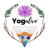 Yoga Live artwork