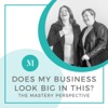 Does My Business Look Big In This? - The Flourish Unlimited Perspective artwork
