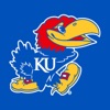 The Jayhawker artwork