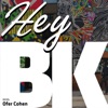 Hey BK – The Brooklyn Podcast with Ofer Cohen artwork