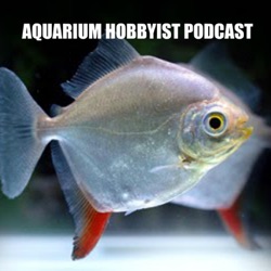 Aquarium Hobbyist Podcast