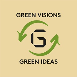 Green transition through asymmetric innovation