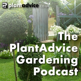 The Plantadvice Gardening Podcast Episode 35 Rhs Hampton Court