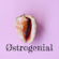 Østrogenial Østrogenial