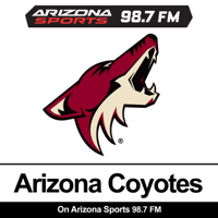 Shane Doan, Coyotes legend